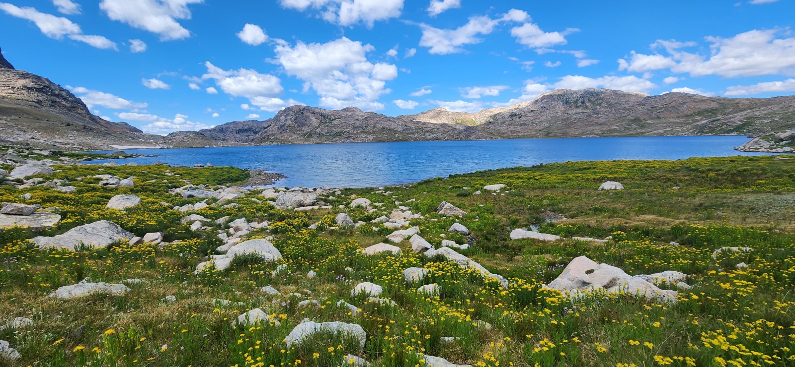Beautiful start to the day walking around the lake.