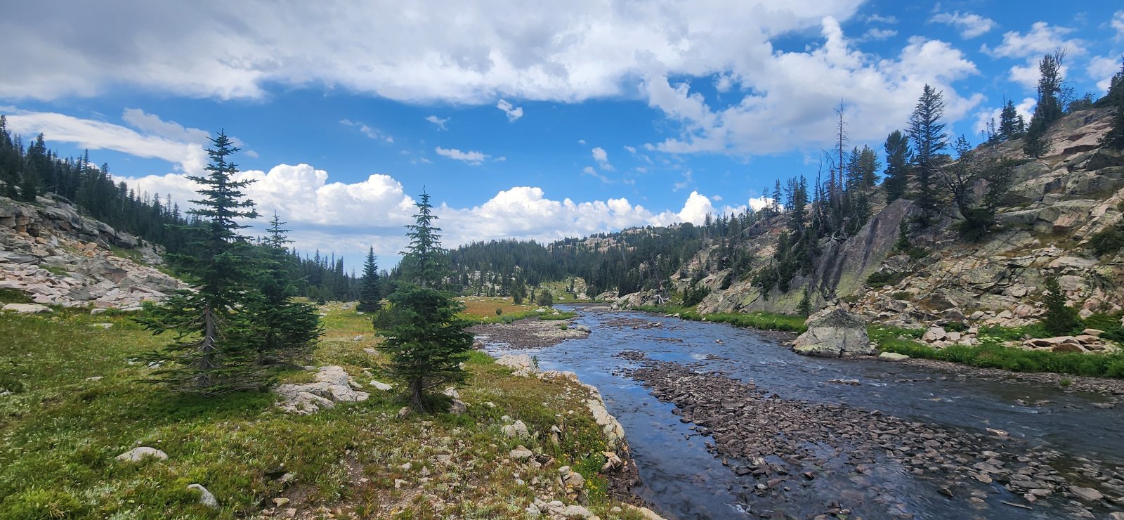 Looking down Sierra Creek.