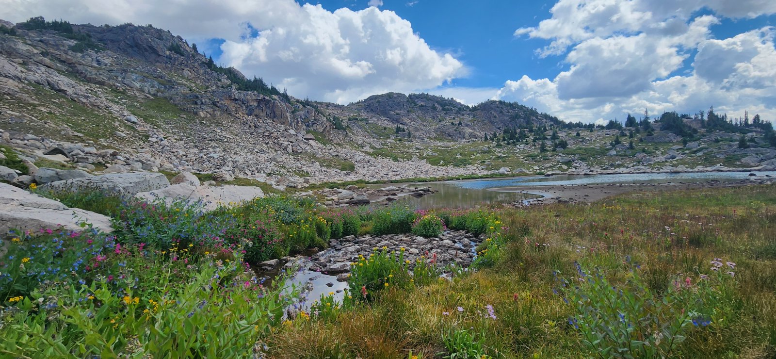 The flowers were*starting*to fade throughout the range, but still pretty spectacular in some sections.