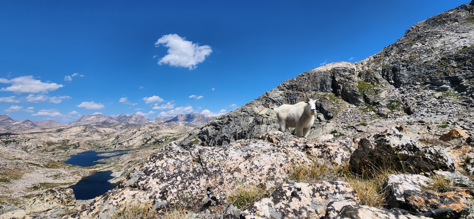 He hung around for quite a while.