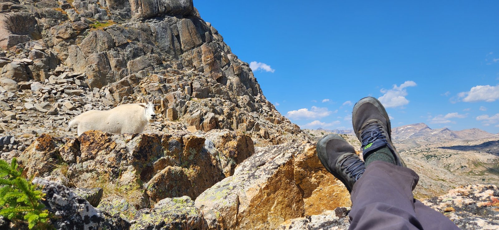 This fella came to pay a visit while I was taking a break above Fossil Lake.