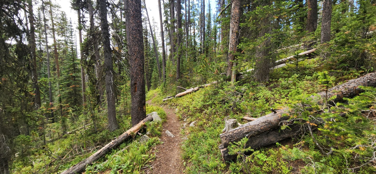 Not many views on this section.