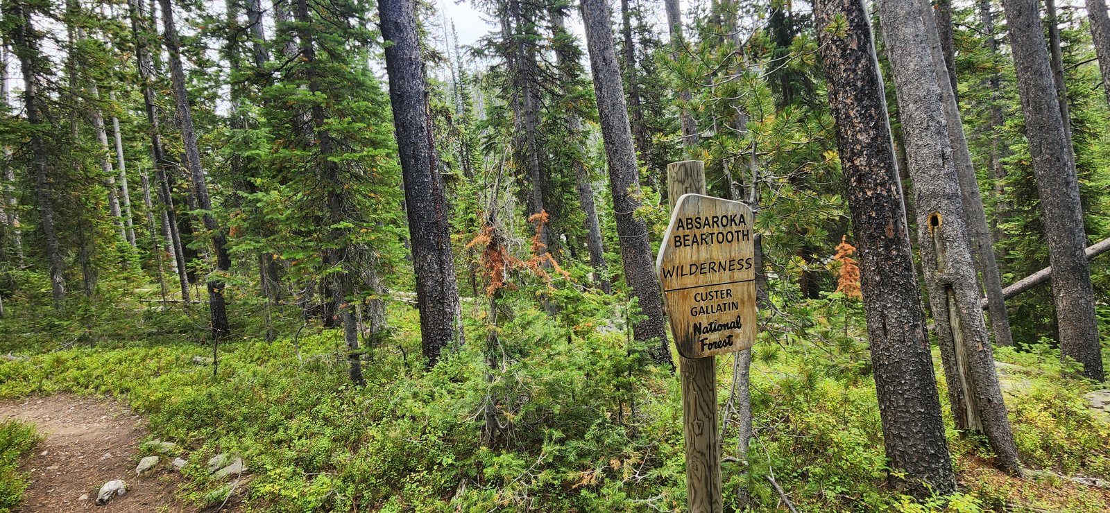 Leaving the wilderness.