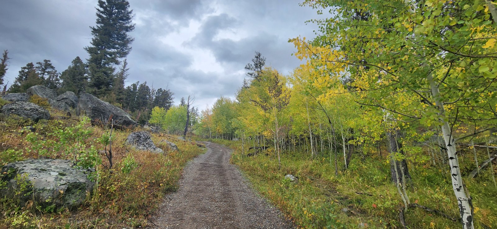 Starting up to Slough Creek. Incredibly popular section of trail - so passed quite a few folks through here.