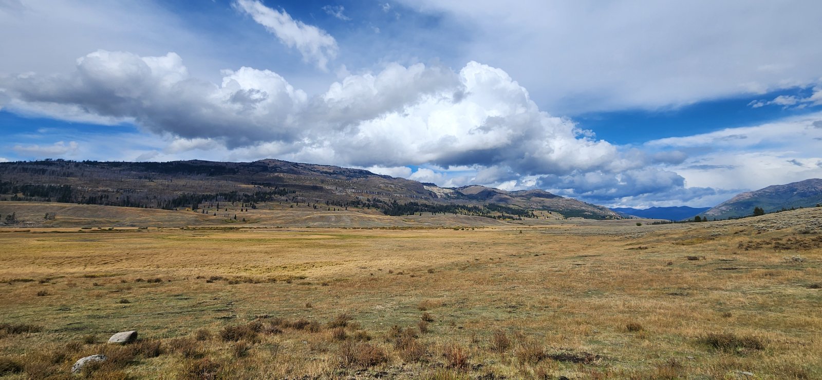 Love those wide open spaces.