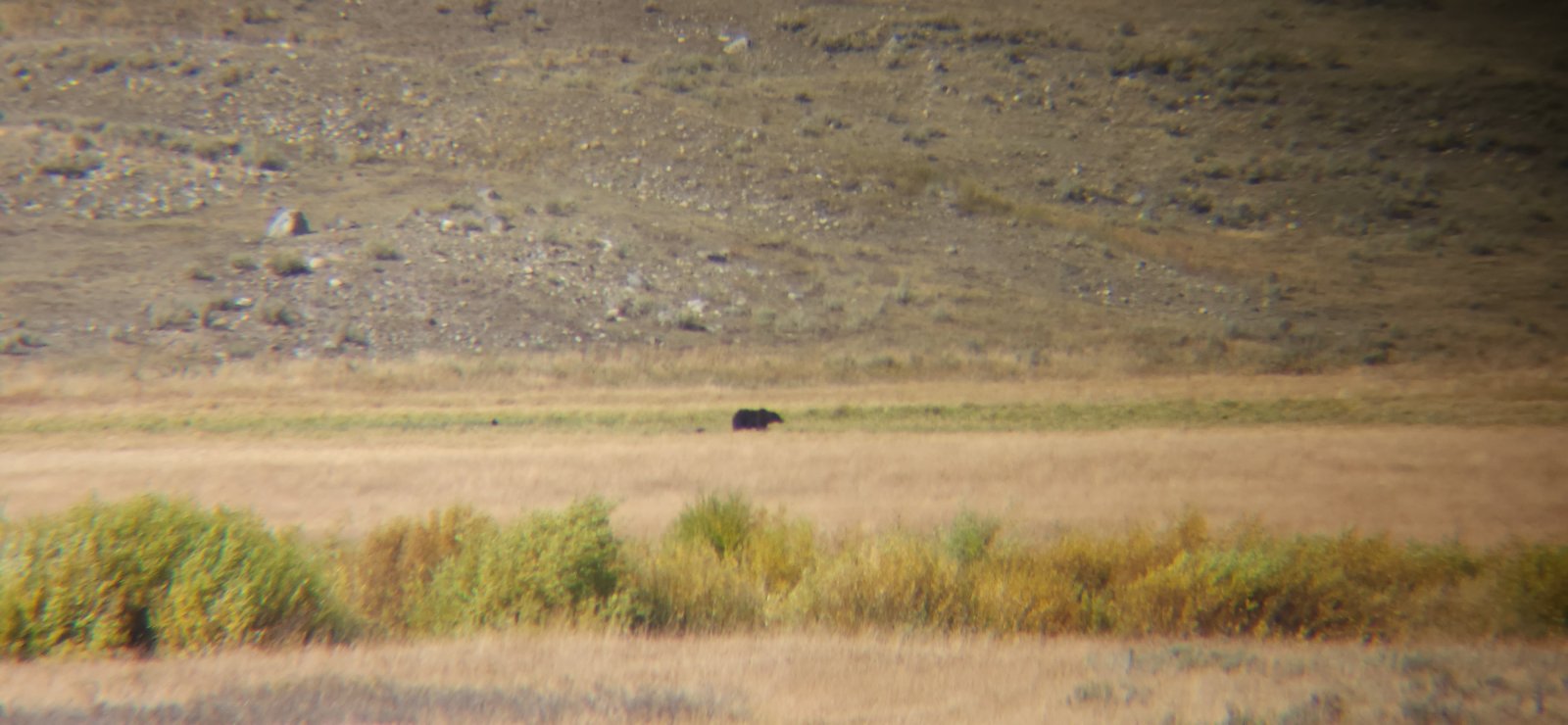 Holding the monocular up against the phone.