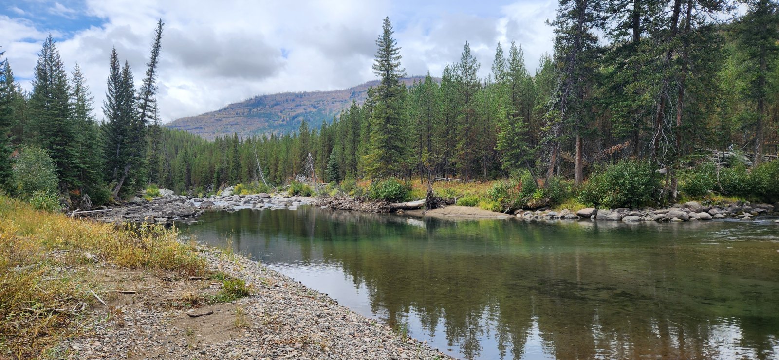 You can see the small-ish beaver lodge up against the opposite bank 
here. No noticeable damming of the creek, but in retrospect the 
conditions here were pretty naturally beaver-friendly.