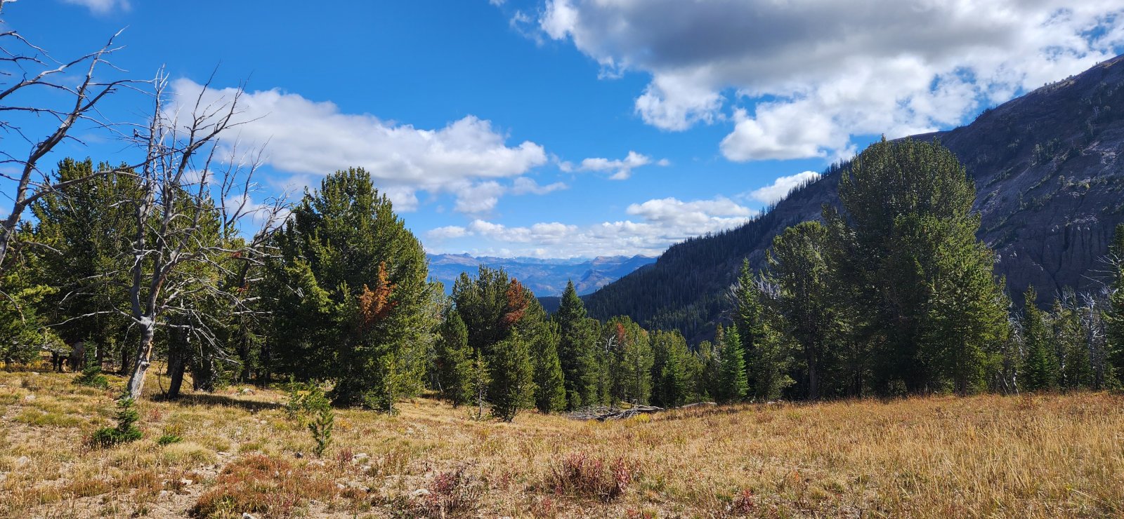 On the east side views opened up more and I really enjoyed it - this side was a much quicker drop back to the drainage though.