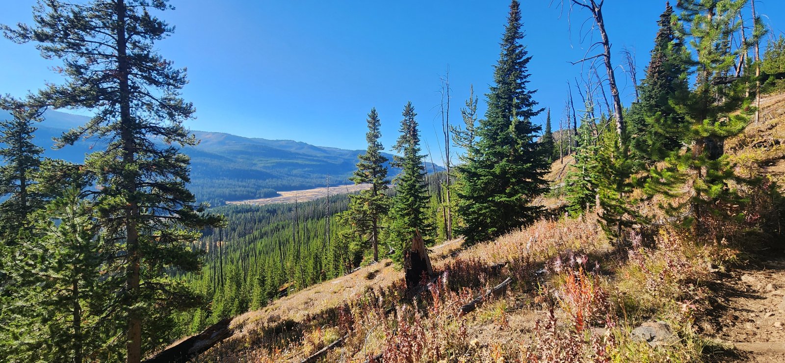 But it quickly began to open up.