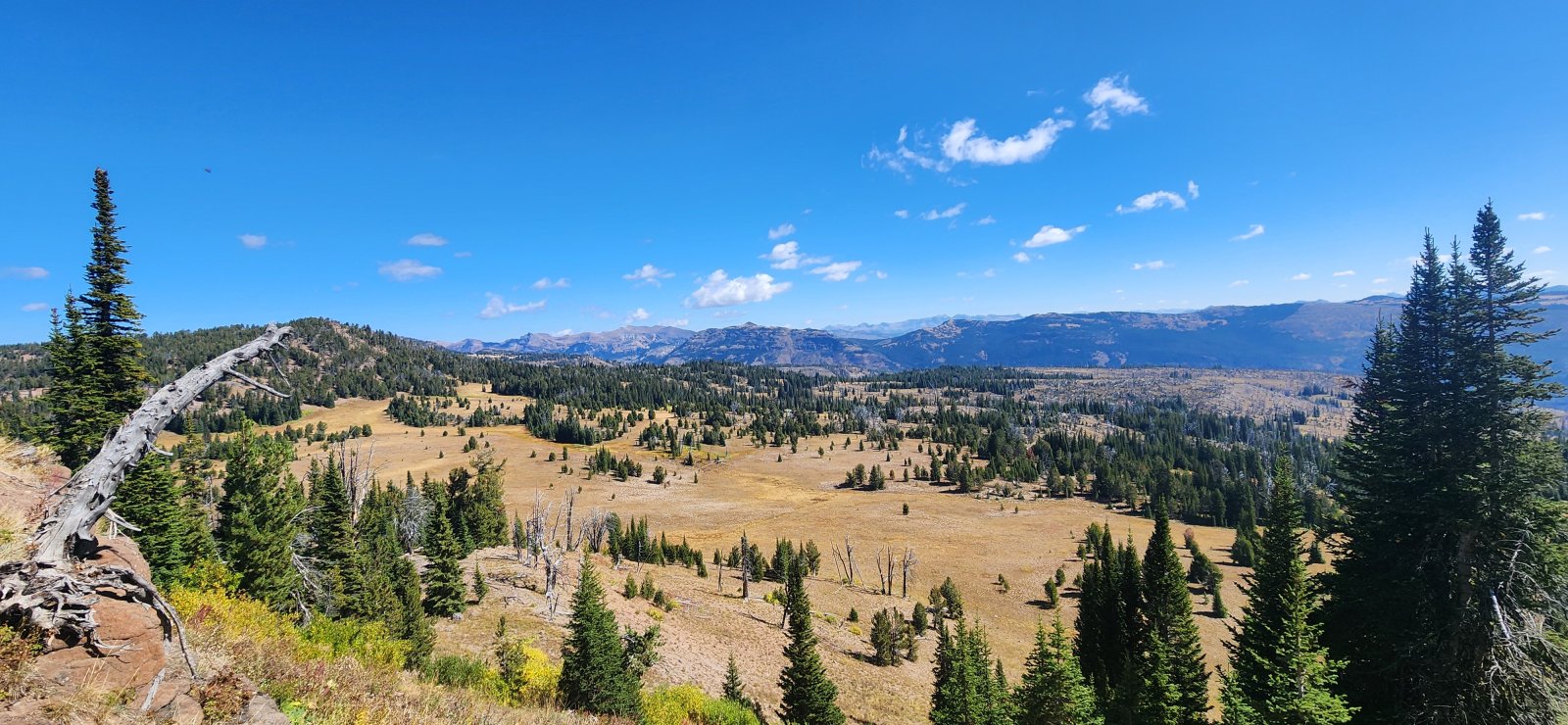 At the top! It was a little more scramble-y than expected, but nothing particularly difficult.