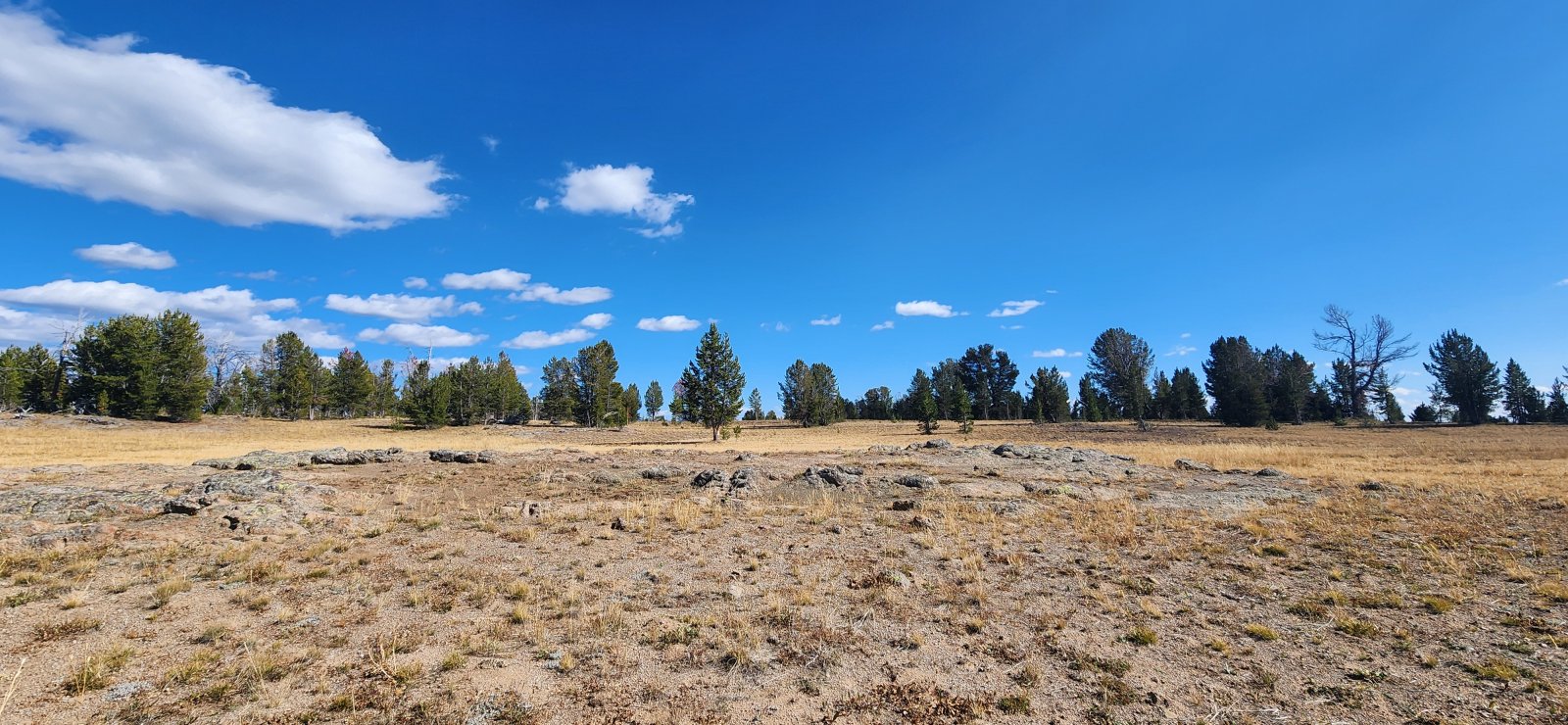 More wide open flat (and dry) walking.