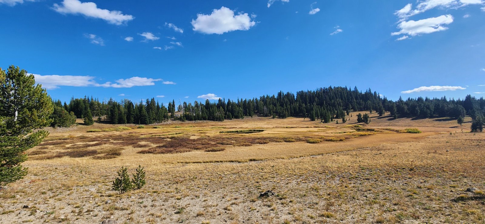 One of the only water sources of the day. It was cool enough that we still only ever carried a couple liters.