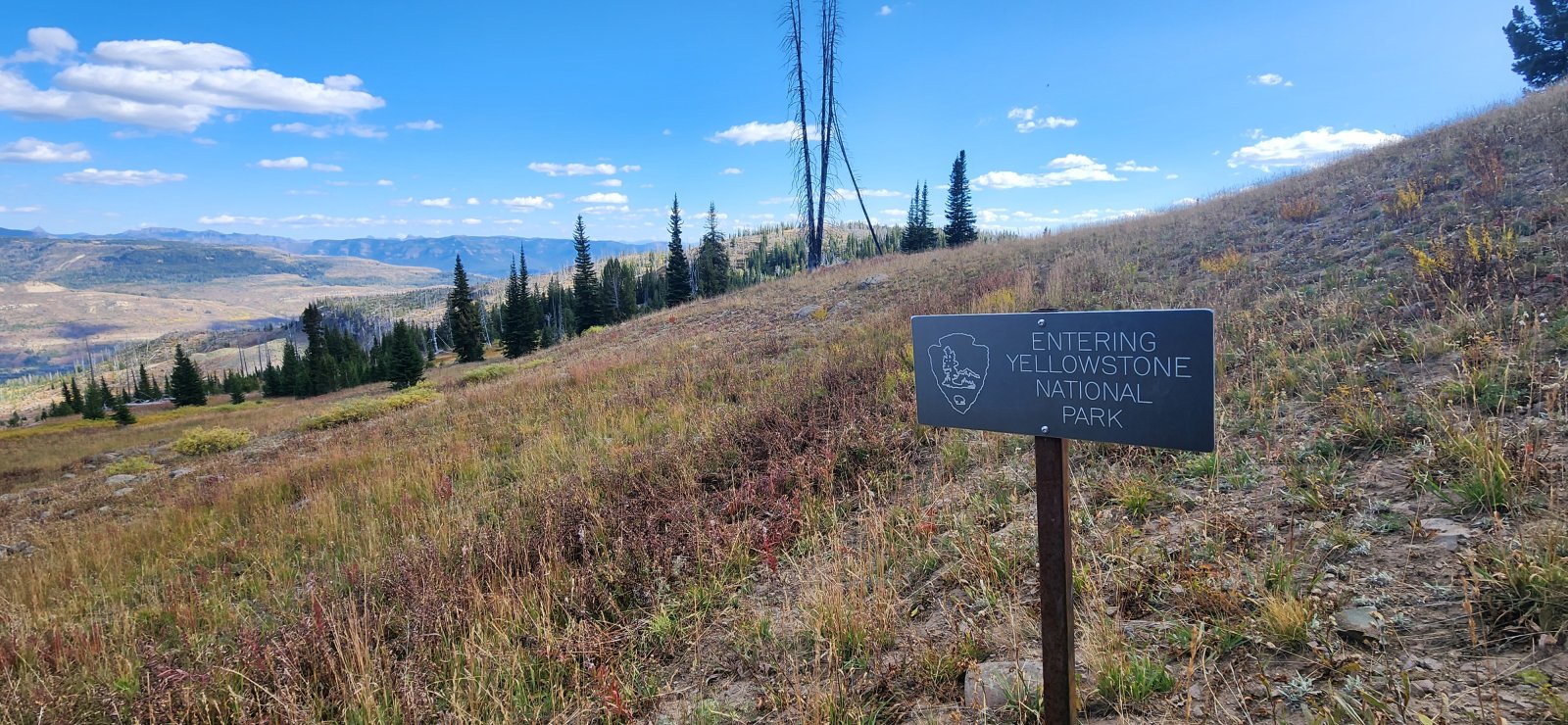 Dipping back into the park for the evening.