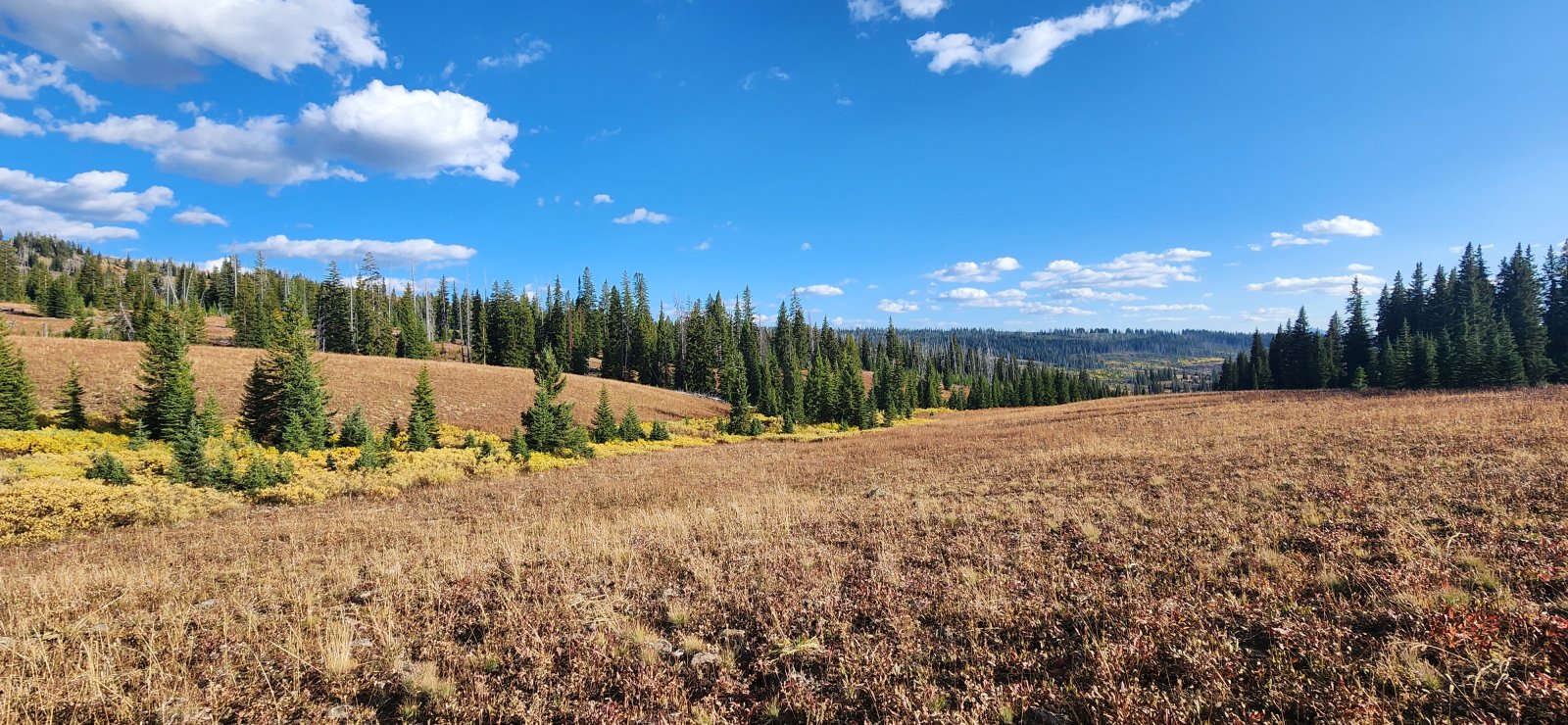 Trip photo from 011816