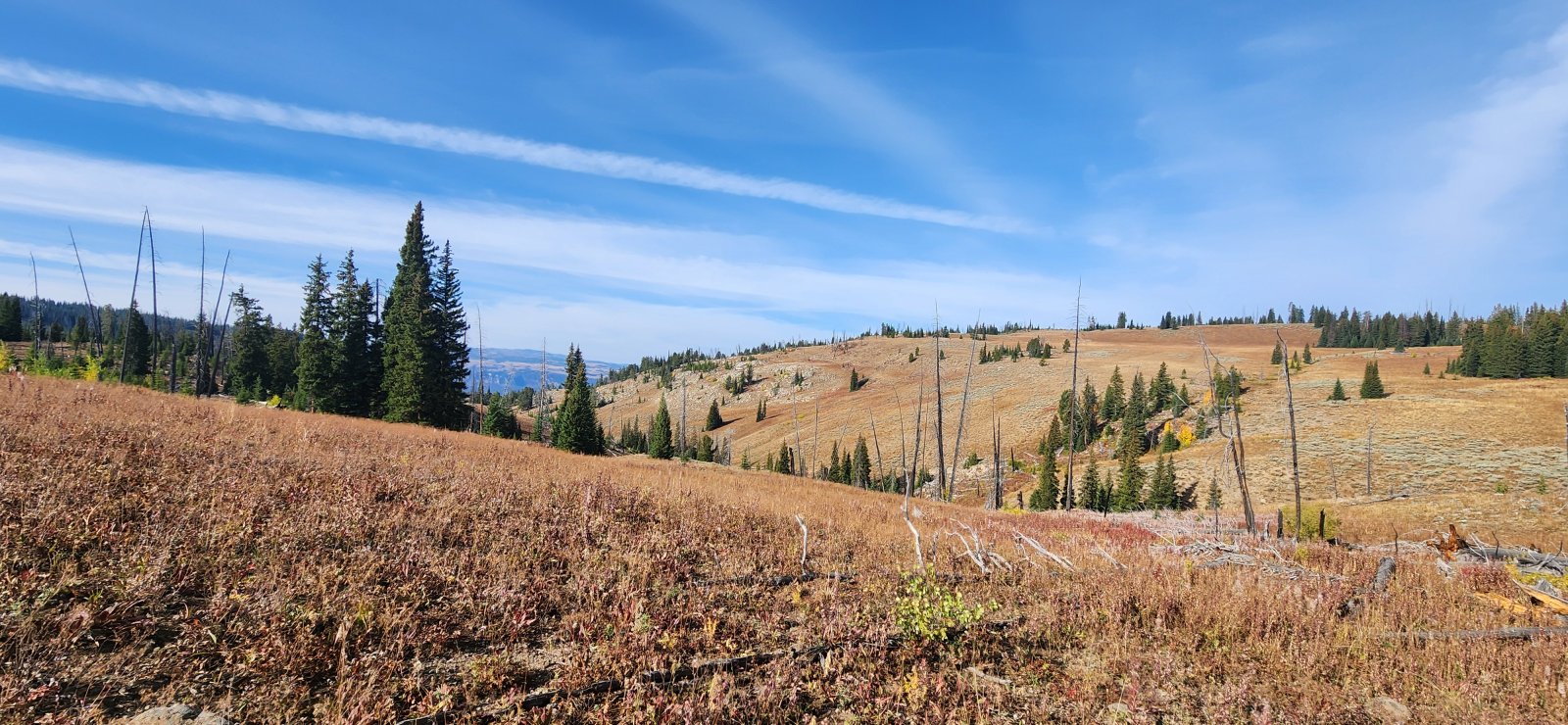 Like I said, the terrain was nice and easy and the conditions could hardly be beat!