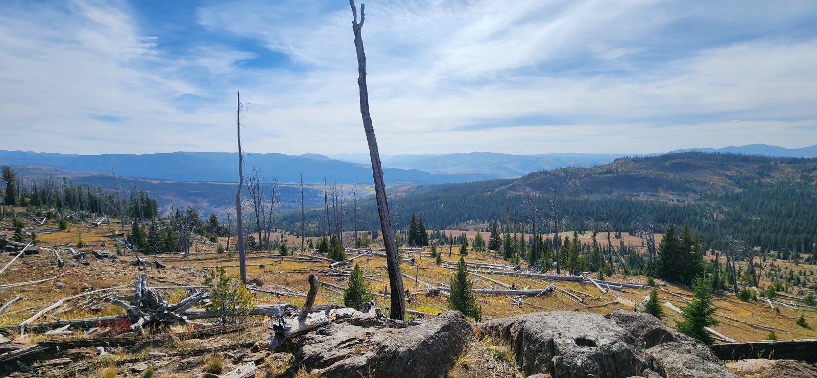 Fair bit of downfall, but easy enough to navigate.