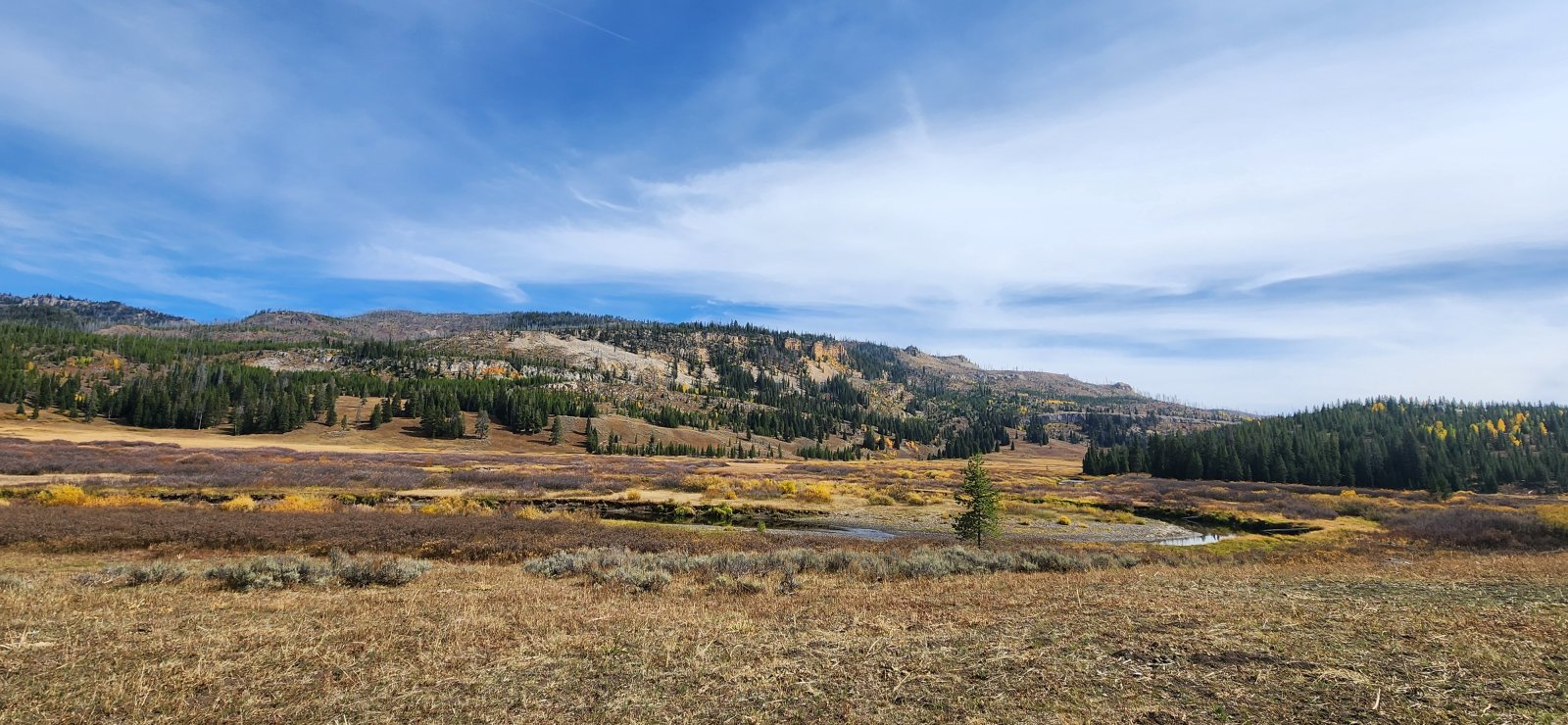 This section of Buffalo Creek was wonderful. We originally considered 
camping here and I'd certainly relish doing so in the future.
