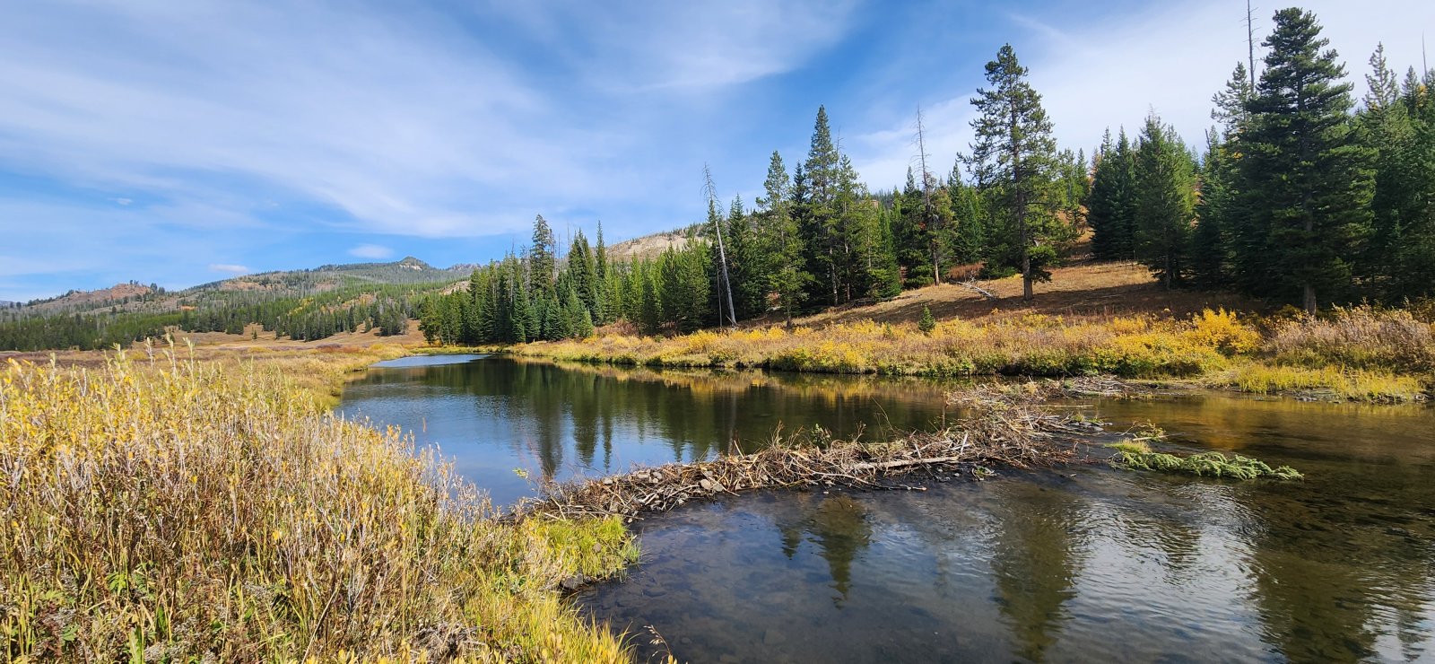 Nice little dam on Buffalo Creek.