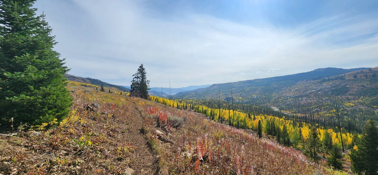 Our final stretch south along Buffalo Creek was pleasant and the fall colors were really starting to 'pop'.