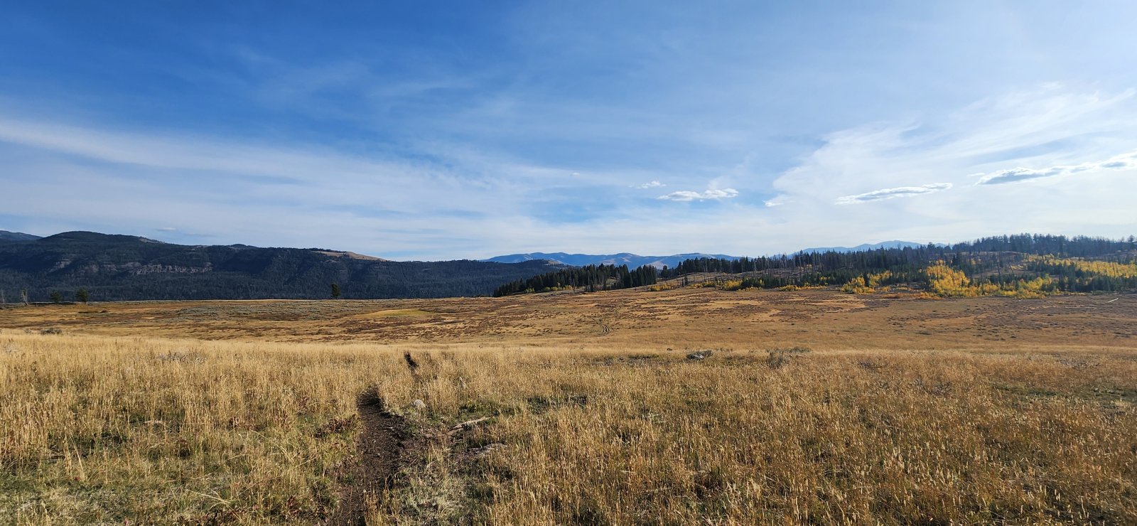 Getting back into the Slough Creek drainage.
