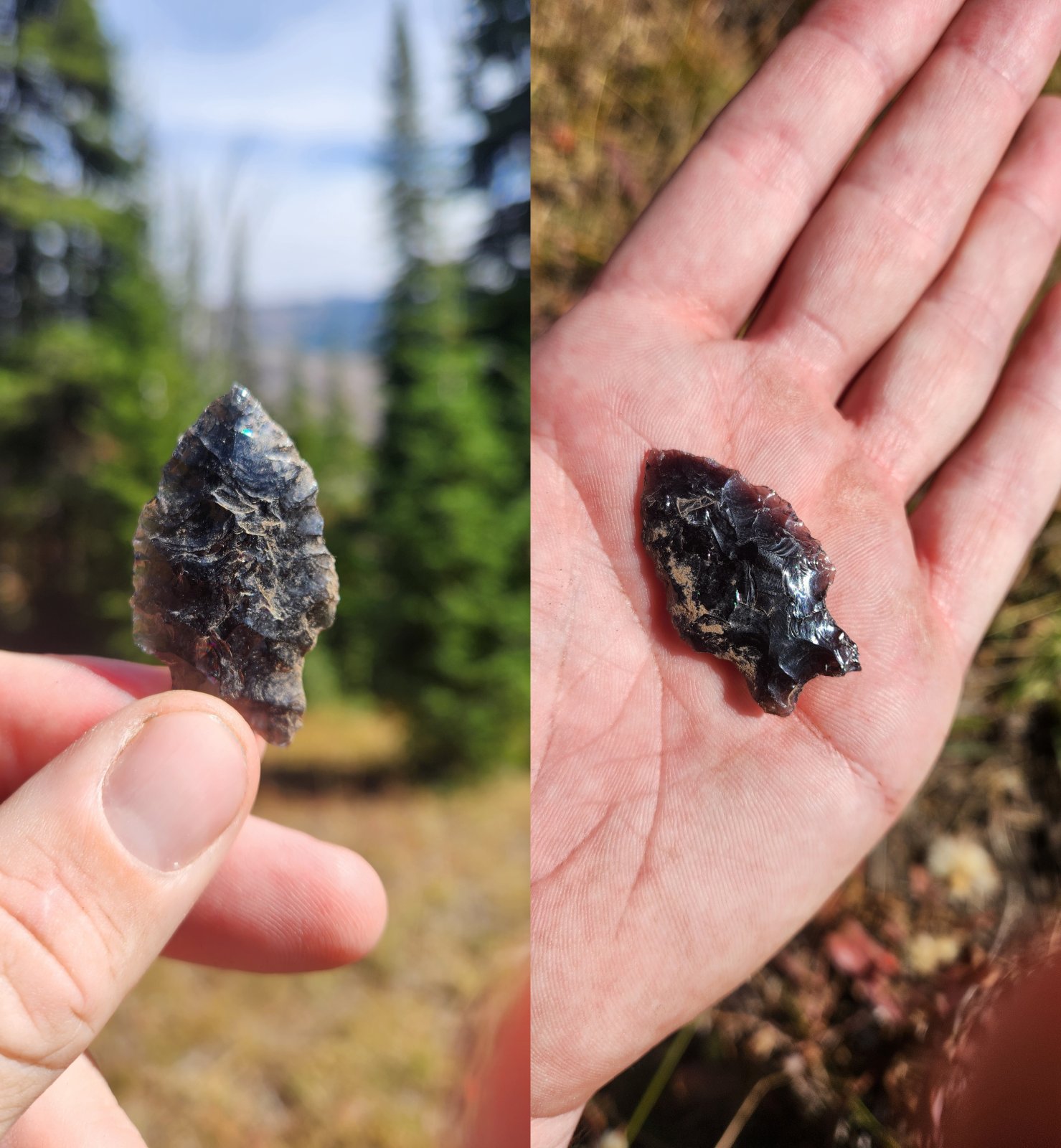 Trip photo from 011816