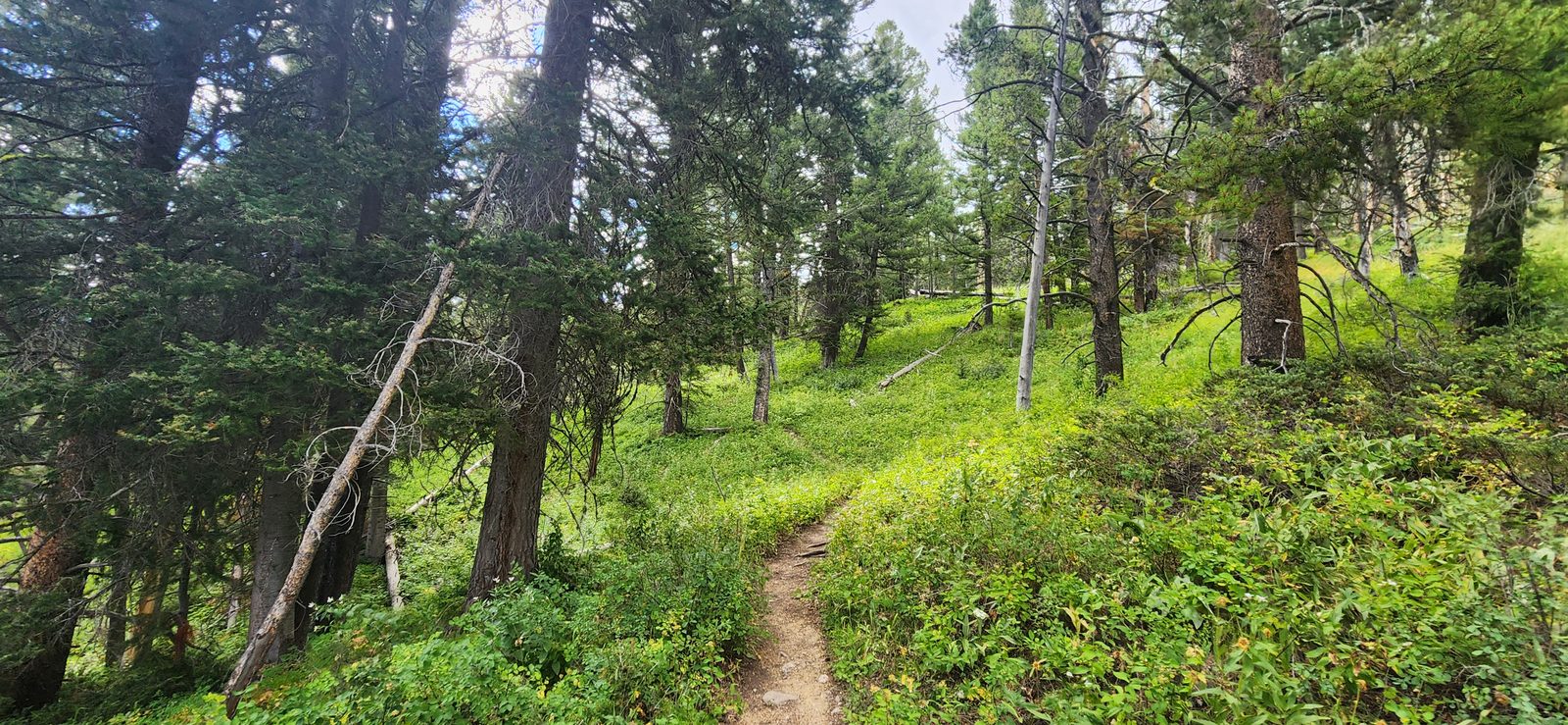 Hike up from the trailhead is pretty uneventful - a little steep, but not particularly.