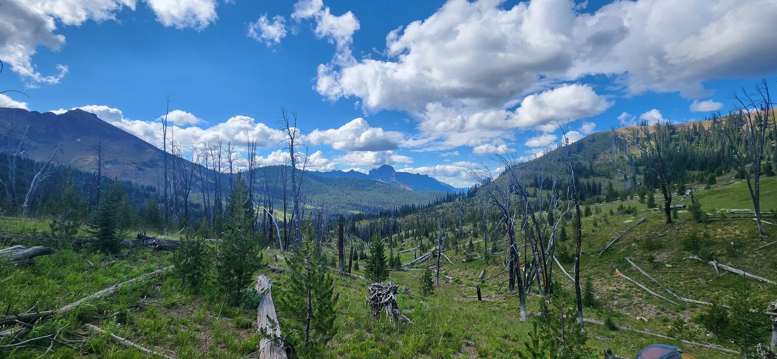 A little more up-and-down as we get closer to Wolverine Peak.