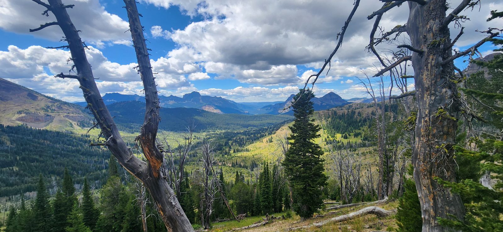 Wolverine Peak (Yellowstone NP) - August 2025