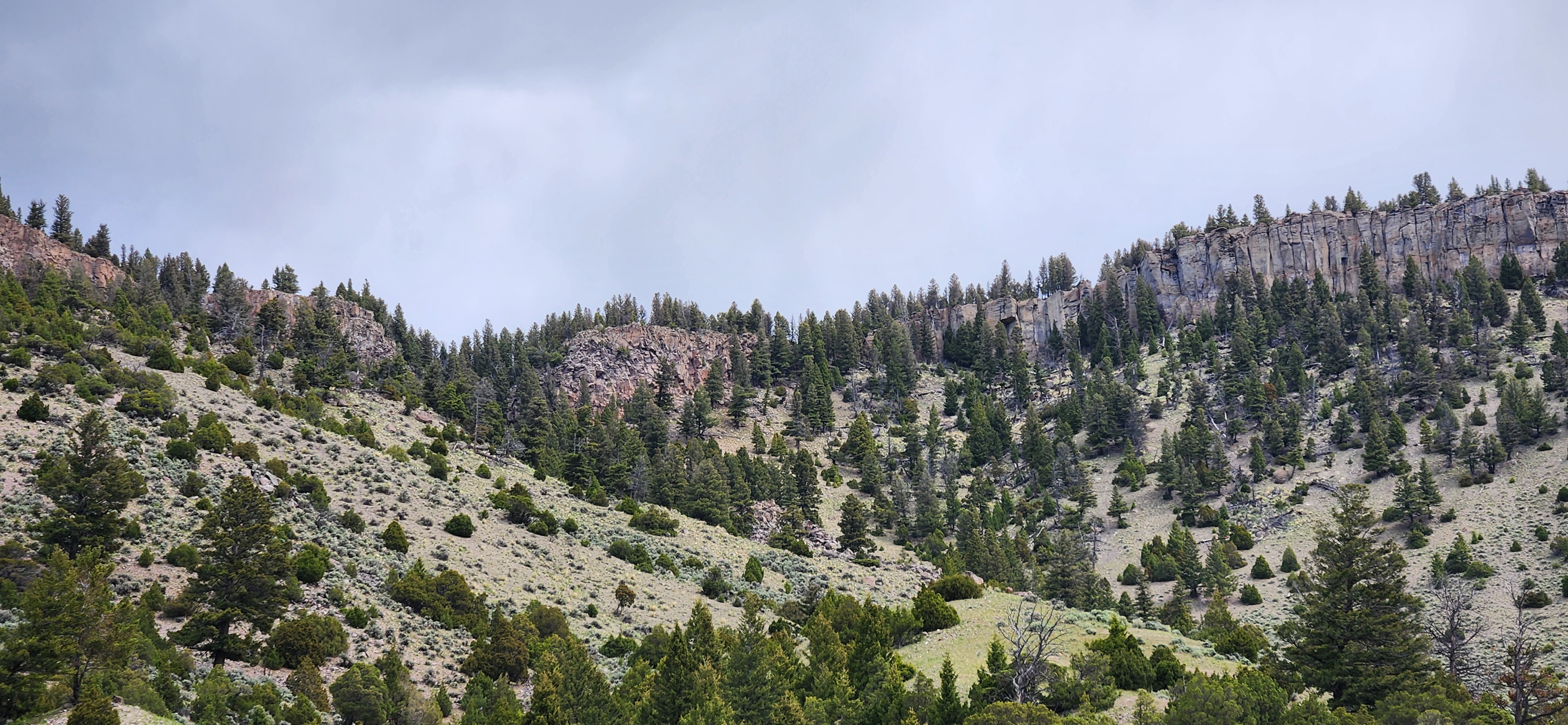 A good look at the Huckleberry formation that makes up the top layer of the mountain.