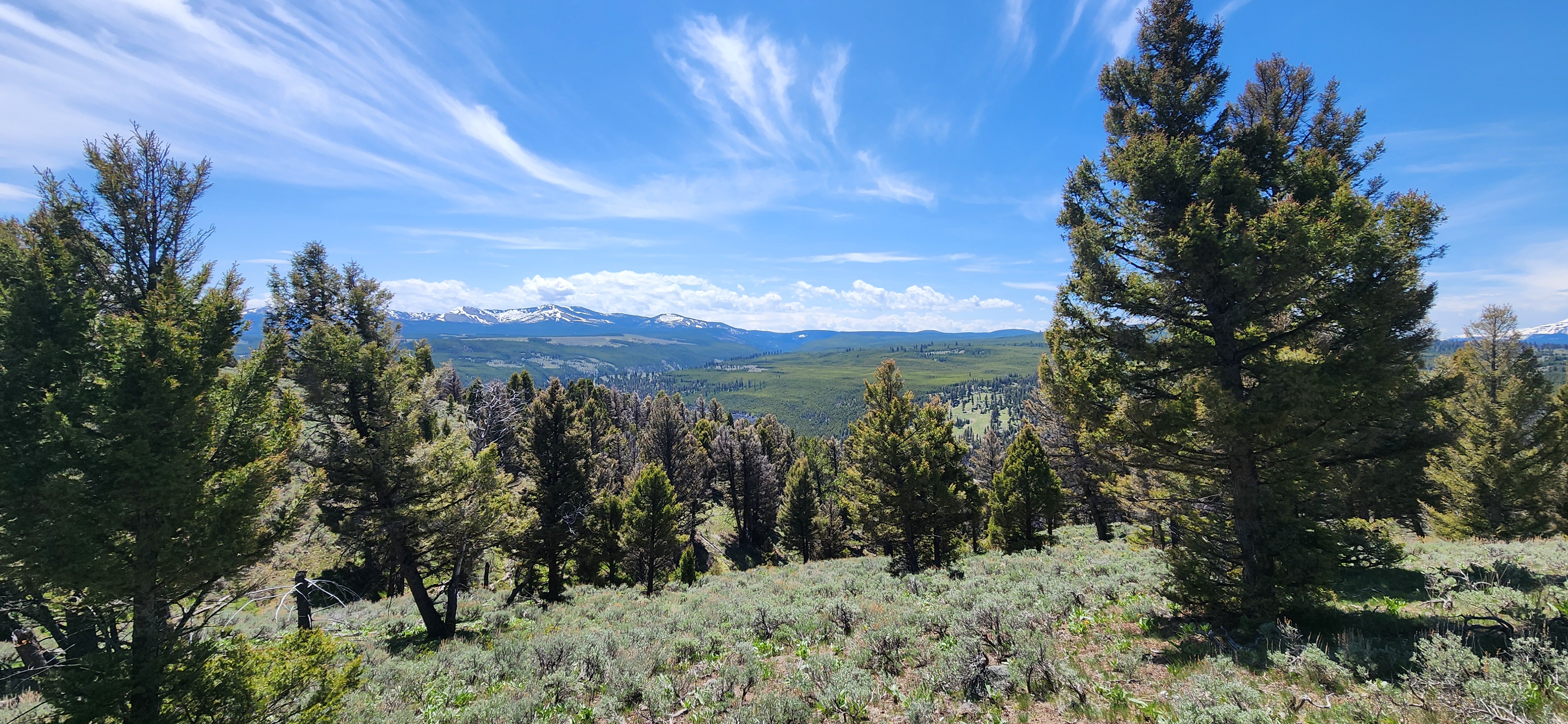 Starting to get some long-distance views.