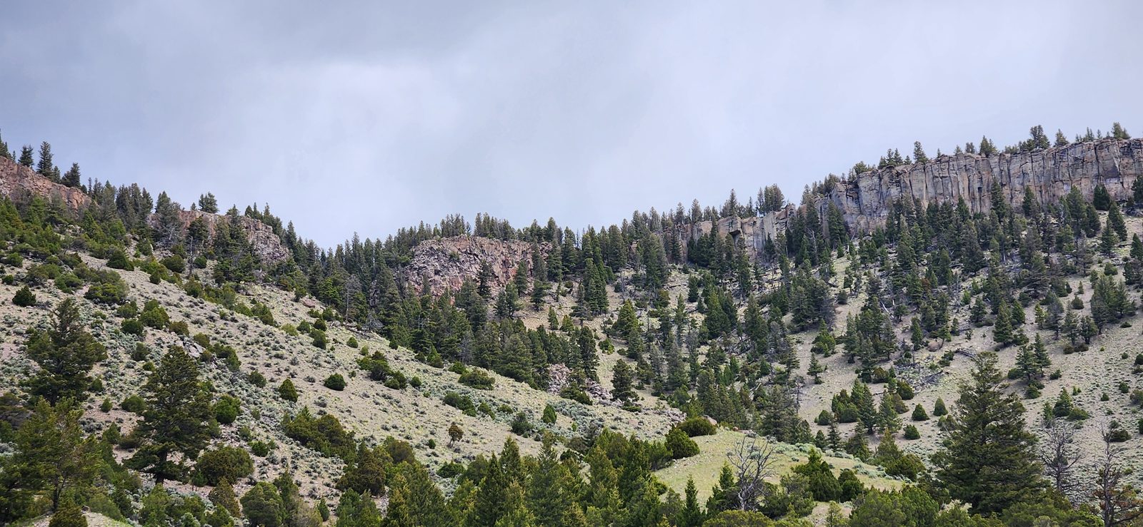 A good look at the Huckleberry formation that makes up the top layer of the mountain.