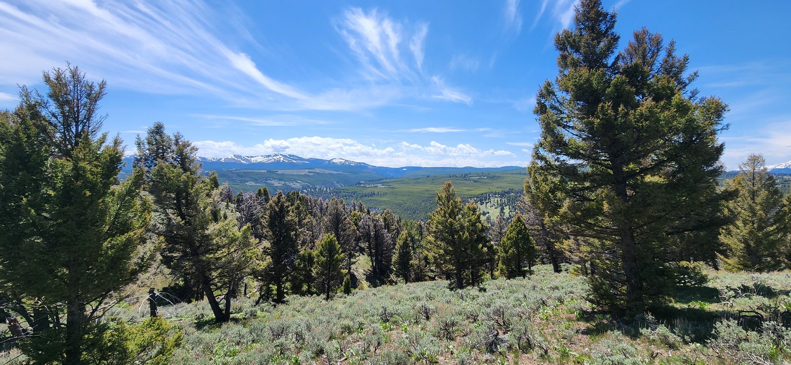 Starting to get some long-distance views.