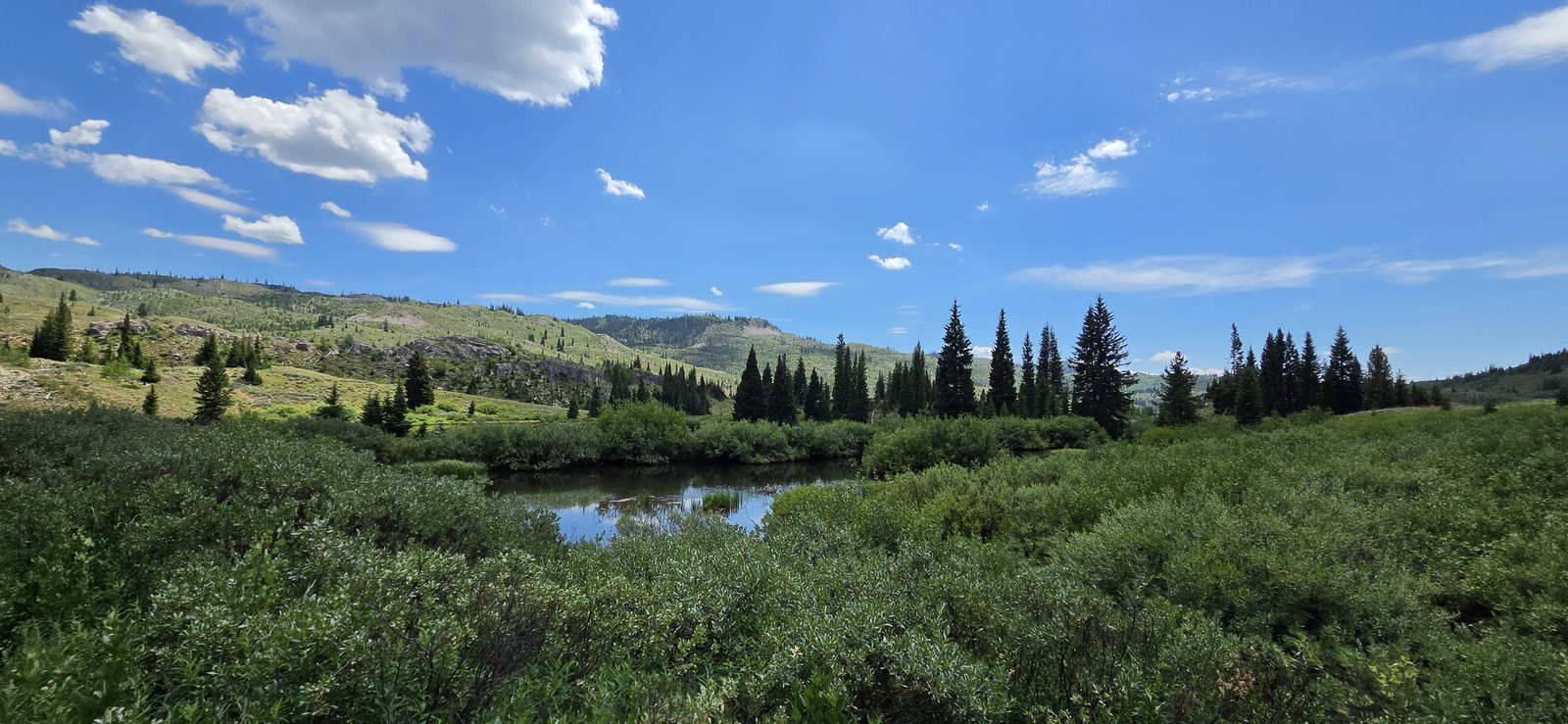 Very marshy though - hence our decision to continue on to Pacific Creek.