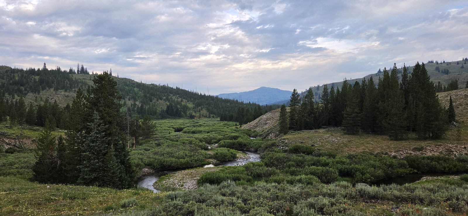 Early morning on Pacific Creek.