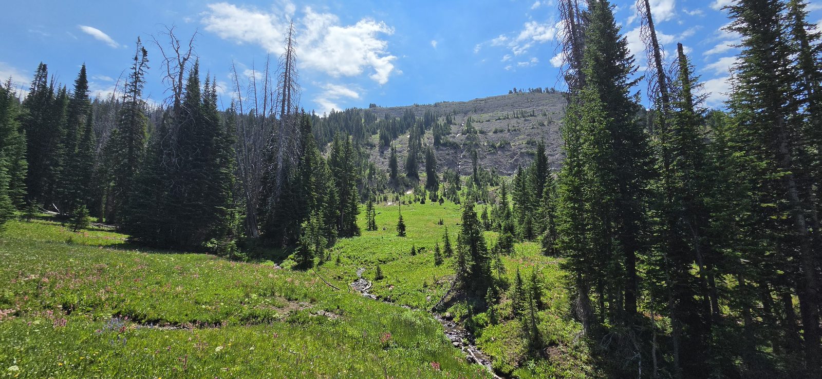 Lunch alongside an alpine meadow as we approached the treeline.