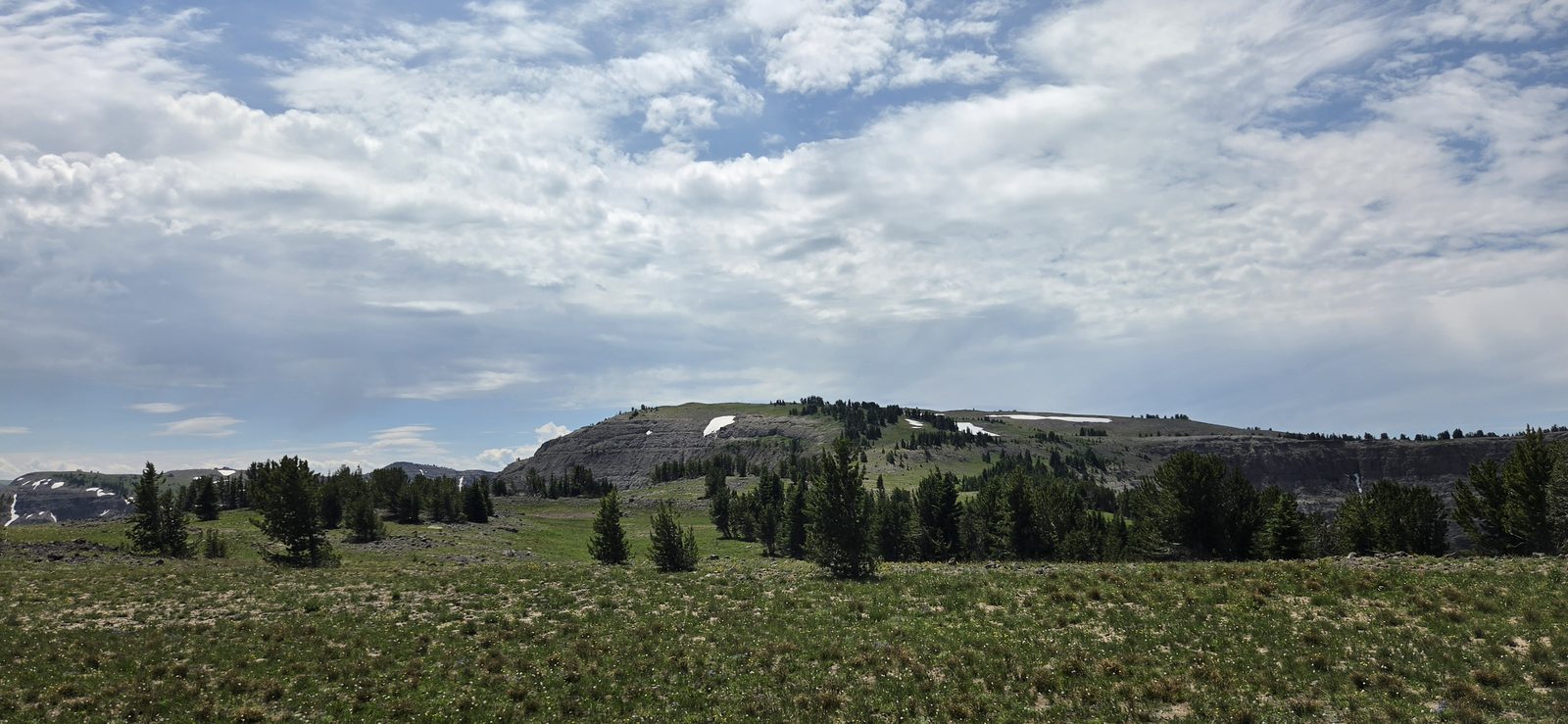 Little bits of snow still hanging on up here.
