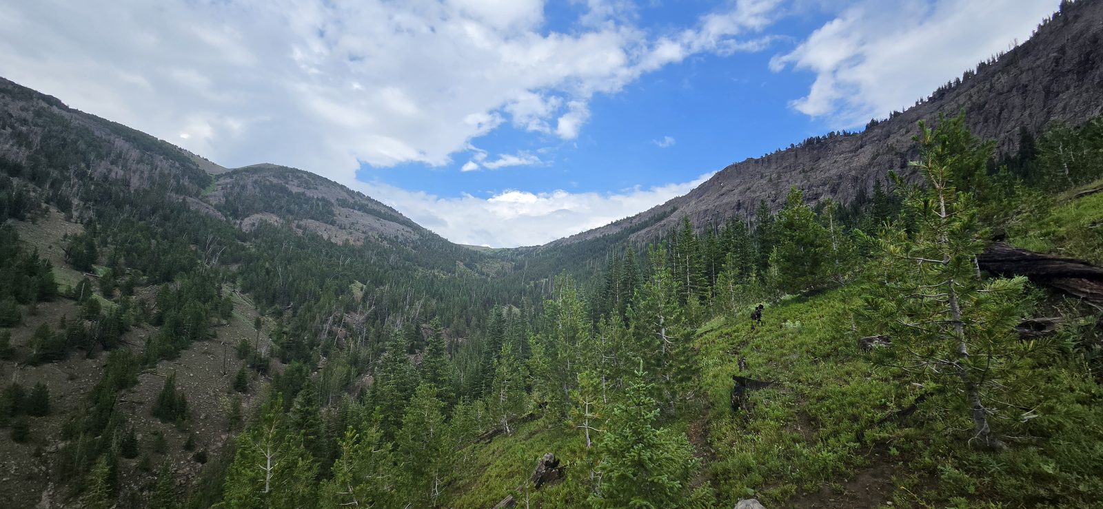 The route I took up Thunder was steep and a bit brushy, but much better than the earlier descent.