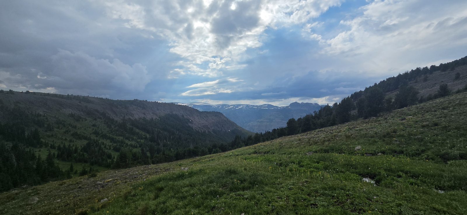 Started looking for camp right as I reached the treeline. Nice spot, but the weather rolled in quickly.