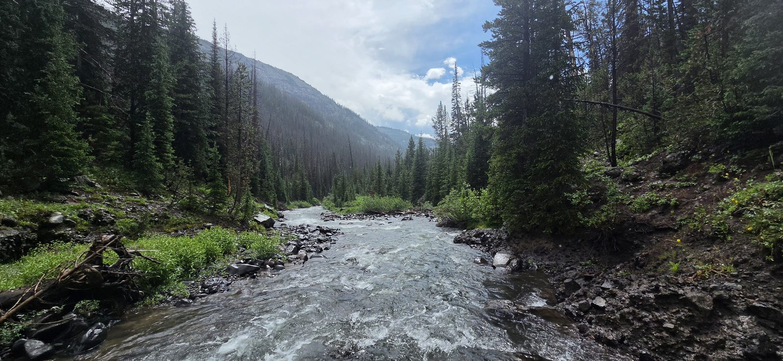Had a small snack at the North Fork of the Yellowstone River and took cover from a brief rainstorm in the trees.