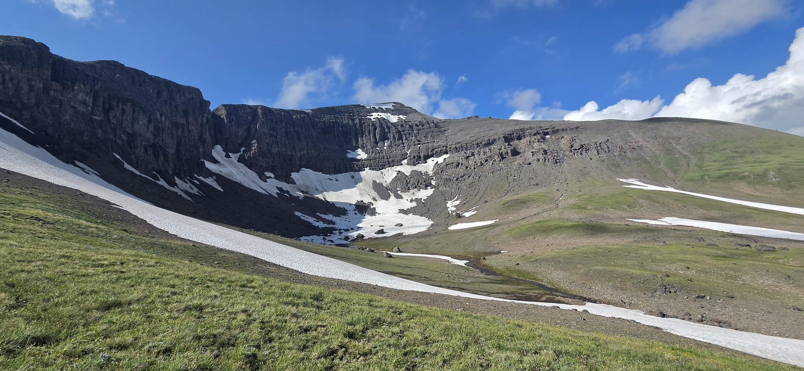 On the way down, I surveyed the base of Younts carefully - hoping to spot some bears. There had been ample scat, but none particularly fresh.