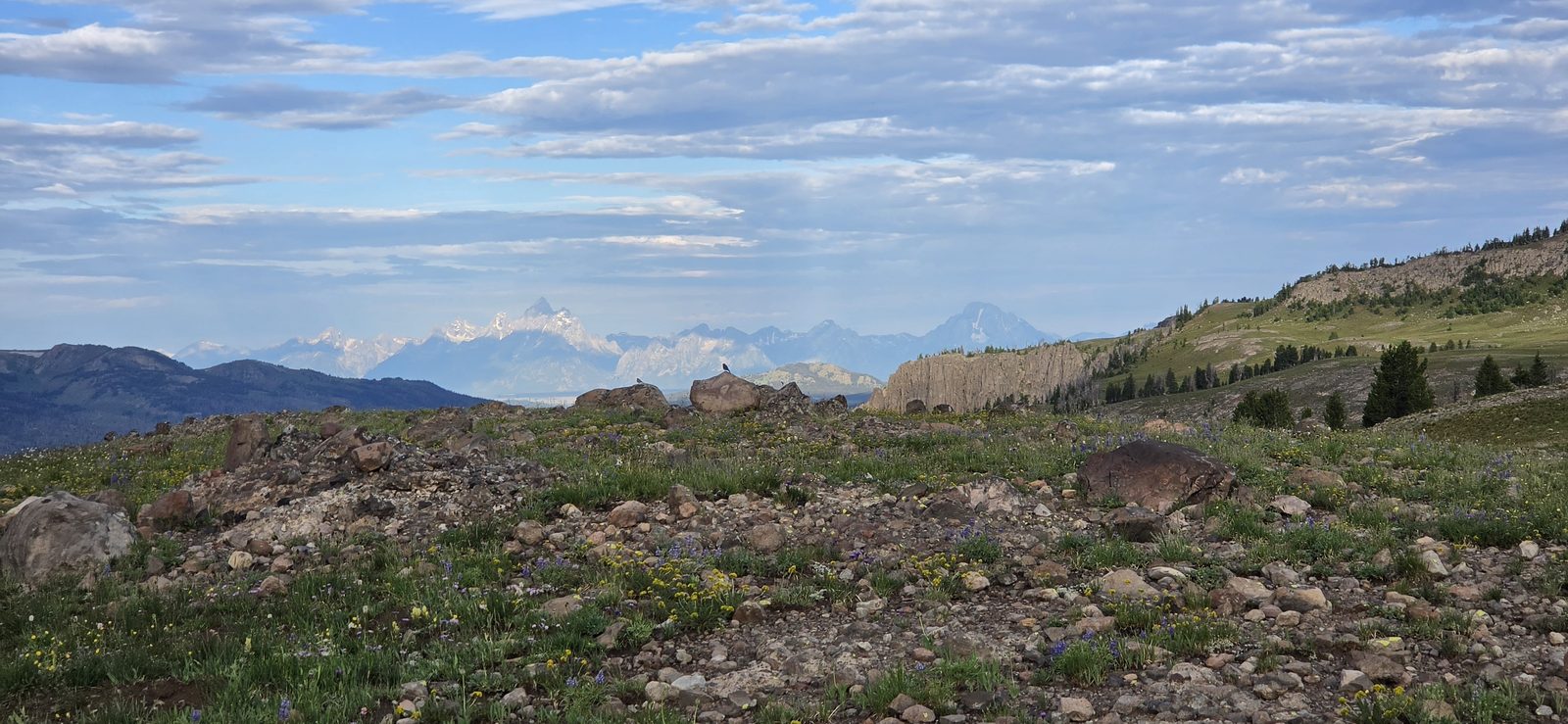 I never tire of looking at the Tetons... and today I would be walking right in their direction most of the day. Wonderful! 😍
