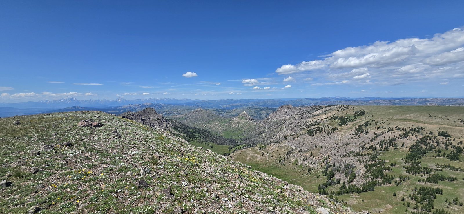 Honestly, the slope of the summit to the northwest was a bit more challenging than I expected, but I only ended up on my butt once.
