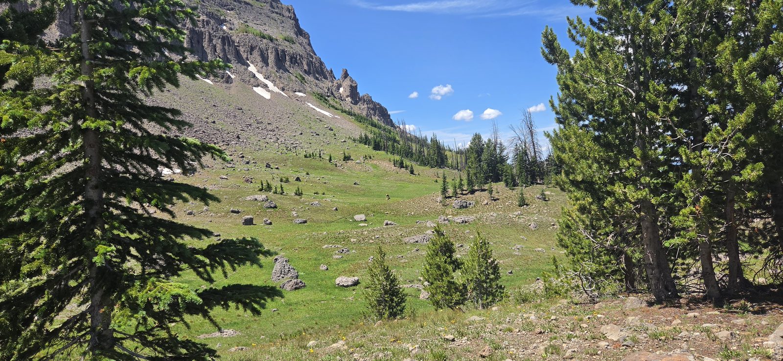 Followed some elk trails out of the upper bowl, before finding an old (very old) outfitters' trail down the main body of the drainage.