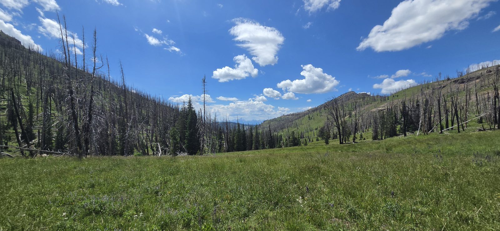 Started getting pretty hot at this point - but also about where I found the outfitter trail. (I don't think it's been maintained since before the fire though.)