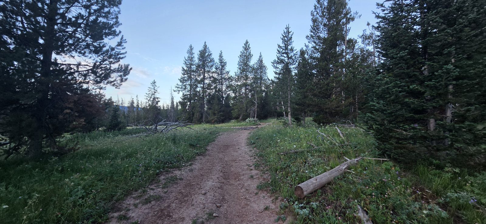 Some sections felt like a highway.
