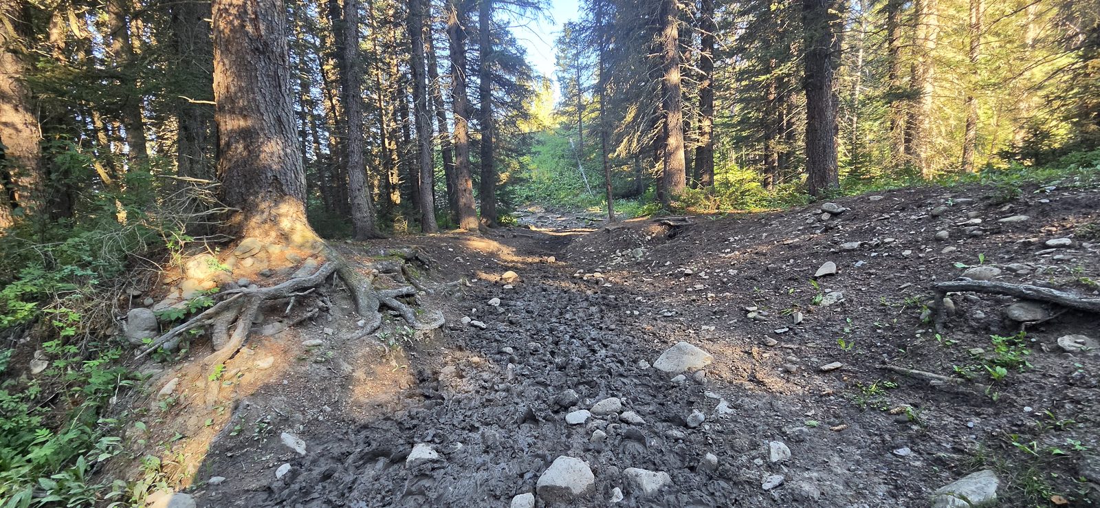 Some sections were a mud pit.