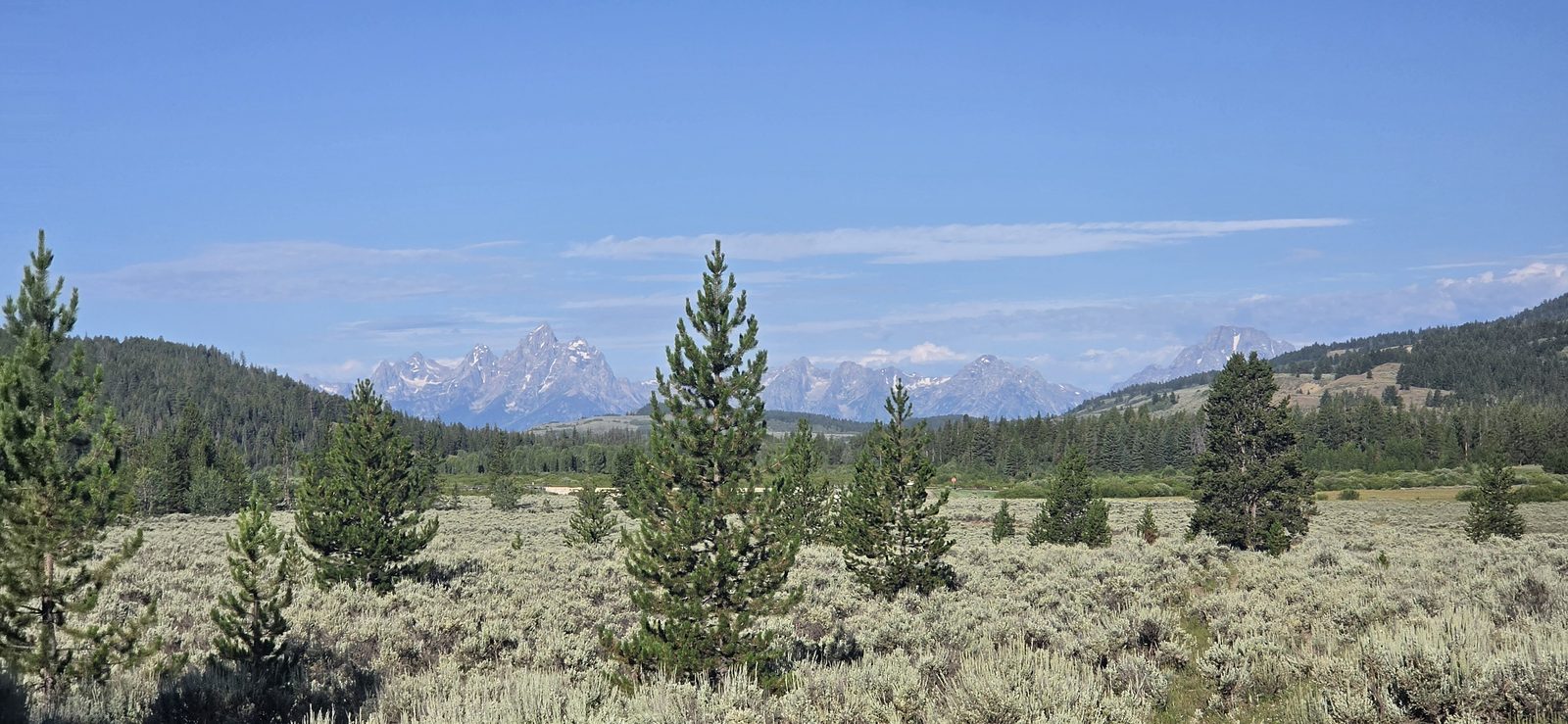 Turpin Meadows. Just a bit of a road walk to the truck at Box Creek TH.