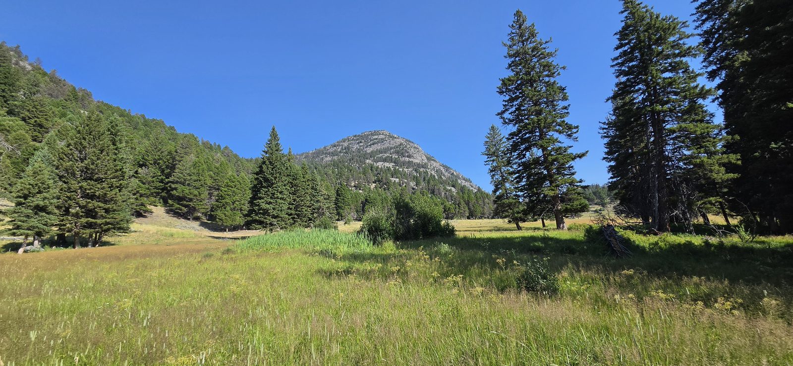 It was another warm day, but a gorgeous one.