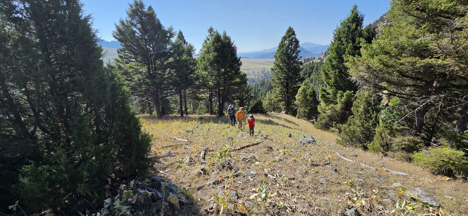 The initial ascent was fairly mellow, but it got progressively steeper.