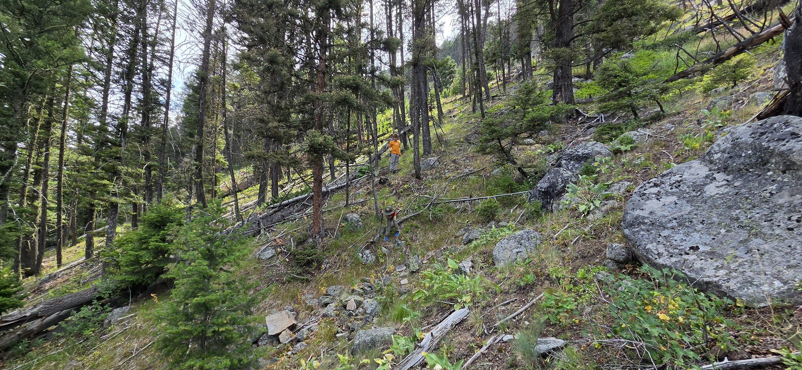 Once past the cliffs, it was easy enough - but that steep incline did not let up until we were all the way at the bottom.